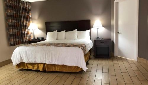 Deluxe Suite, 1 King Bed with Sofa bed