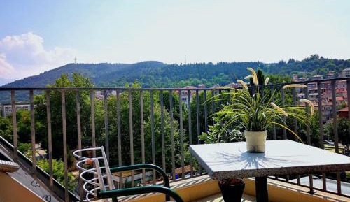 Studio with Terrace