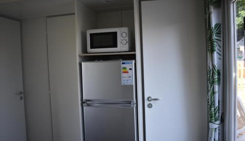Mobile Home