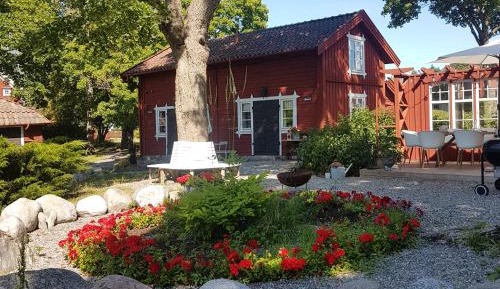 Studio with Garden View