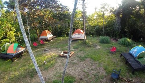 Tent