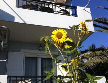 Triple Room with Sea View