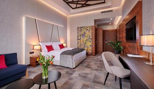 Superior Double or Twin Room with City View