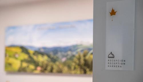 Double or Twin Room with Mountain View