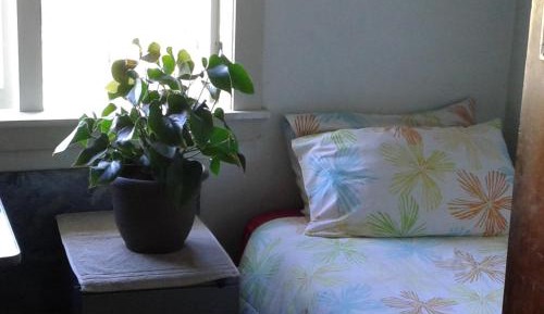 Economy Single Room