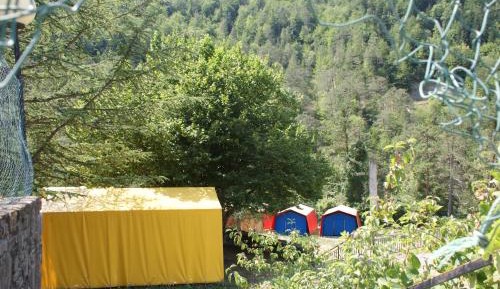 Tent (9-12 Adults) 