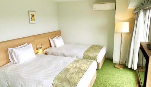 Deluxe Twin Room - Non-Smoking