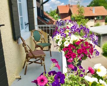 Deluxe Single Room with Balcony