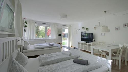 Studio Apartment with Mountain View