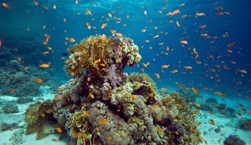 Superior Three-Room Villa With Balcony - 197 ft² (6 Adults)