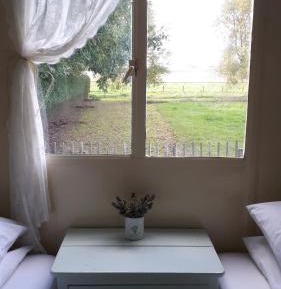 Studio with Garden View