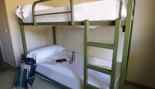 Bed in 6-Bed Dormitory Room