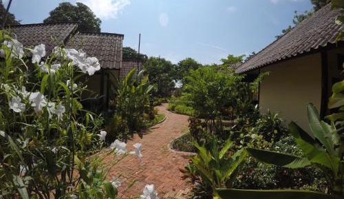 Deluxe Bungalow