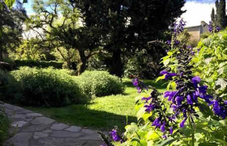 Double Room with Private External Bathroom