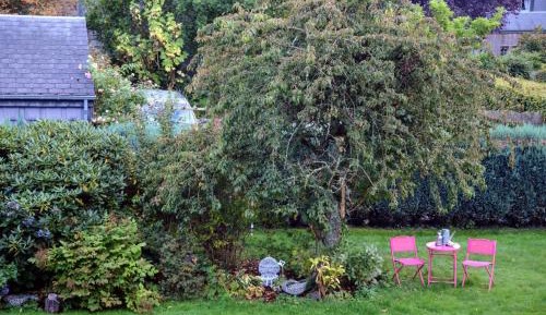 Deluxe Double Room with Shower