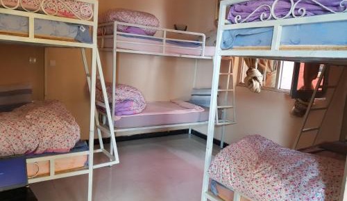 Bed in 6-Bed Mixed Dormitory Room