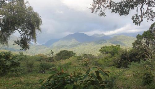 Single Room with Mountain View