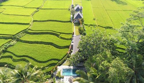 Villa with Garden View