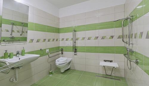 King Room with Roll-In Shower - Disability Access
