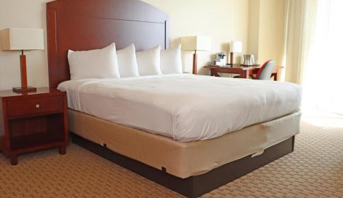 Deluxe Studio Suite
