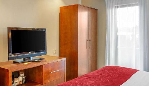 King Suite with Sofa Bed - Non-Smoking