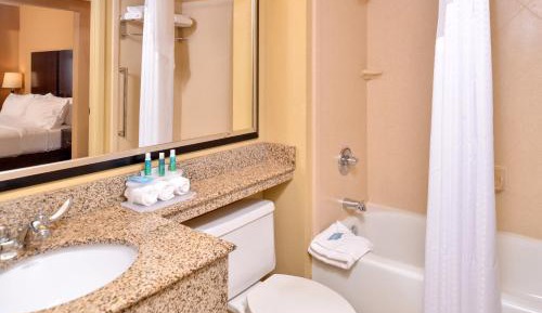 One-Bedroom King Suite
