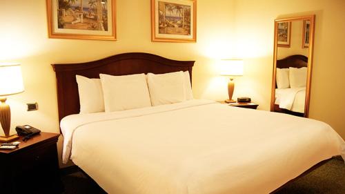 Superior Queen Room