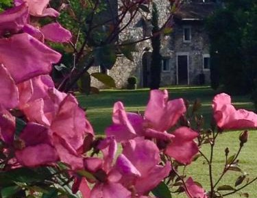 Three-Bedroom House (8 Adults)