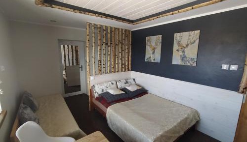 Double Room with Mountain View