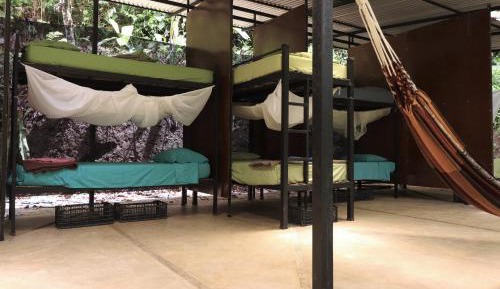 Bed in 10-Bed Mixed Dormitory Room