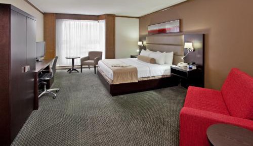 Executive King Room with Sofa Bed