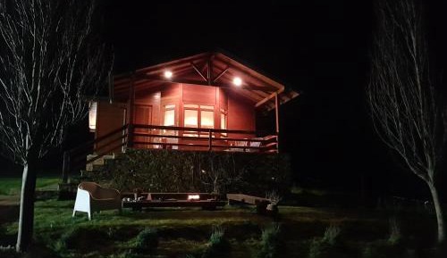 Family Bungalow