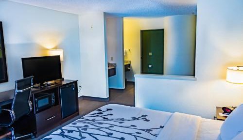 King Suite with Sofa Bed - Non-Smoking