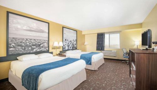 Double Room with Two Double Beds - Non-Smoking
