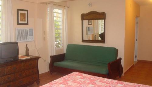 Studio with Garden View