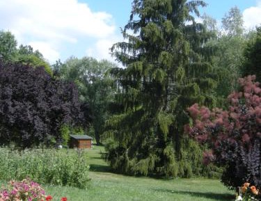 Double Room with Shared Toilet