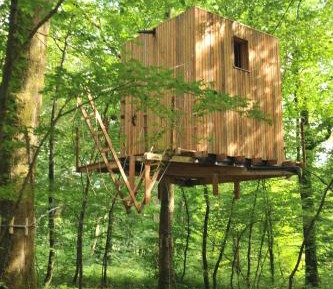 Tree House