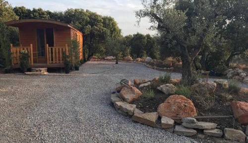 One-Bedroom Chalet