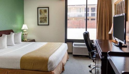 King Room - Non-Smoking