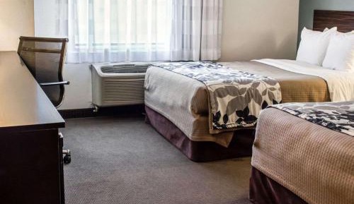 Standard Room Two Double Beds Non Smoking