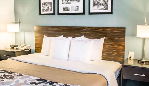 Standard Room King Bed Non Smoking