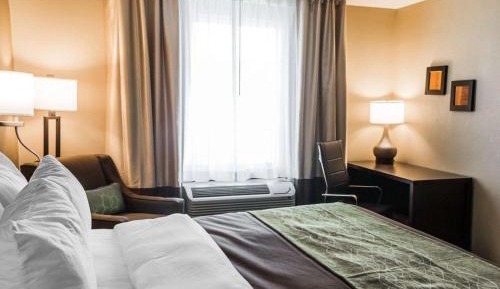 King Room - Disability Access - Non-Smoking