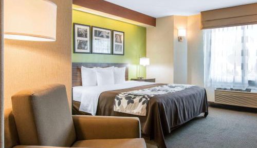 King Room - Accessible/Non-Smoking