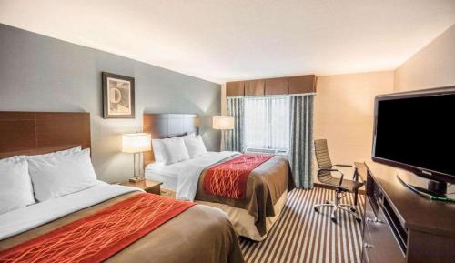 Queen Room with Two Queen Beds - Non-Smoking