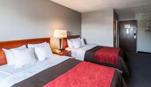 Queen Room with Two Queen Beds - Non-Smoking