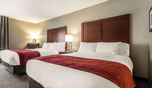 Standard Queen Room with Two Queen Beds