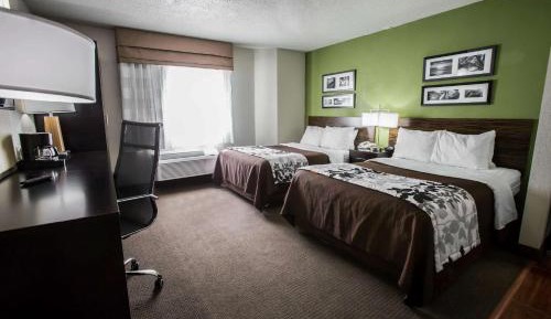 Standard Double Room with Two Double Beds - Non-Smoking