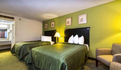 Double Room with Two Double Beds