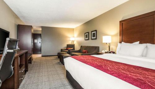 Standard King Room with Sofa Bed - Non-Smoking
