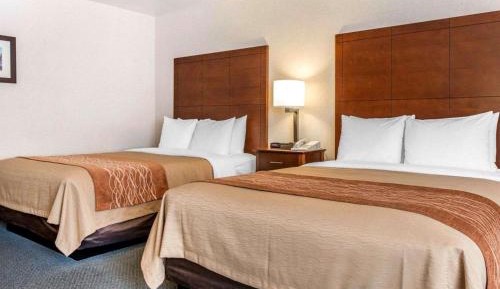 Queen Room with Two Queen Beds - Non-Smoking